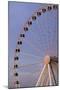 The Wheel of York at Dusk, York, Yorkshire, England, United Kingdom, Europe-Mark Sunderland-Mounted Photographic Print