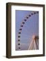 The Wheel of York at Dusk, York, Yorkshire, England, United Kingdom, Europe-Mark Sunderland-Framed Photographic Print