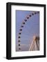 The Wheel of York at Dusk, York, Yorkshire, England, United Kingdom, Europe-Mark Sunderland-Framed Photographic Print