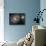 The Whirlpool Galaxy (M51) and Companion Galaxy-Stocktrek Images-Stretched Canvas displayed on a wall