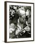 The Whisper of the Rose, a Portrait of George Frederick Watts-Julia Margaret Cameron-Framed Photographic Print