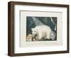 The White Bear, 1844-Aloys Zotl-Framed Giclee Print