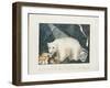 The White Bear, 1844-Aloys Zotl-Framed Giclee Print