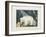 The White Bear, 1844-Aloys Zotl-Framed Giclee Print