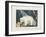 The White Bear, 1844-Aloys Zotl-Framed Giclee Print