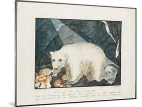 The White Bear, 1844-Aloys Zotl-Mounted Giclee Print