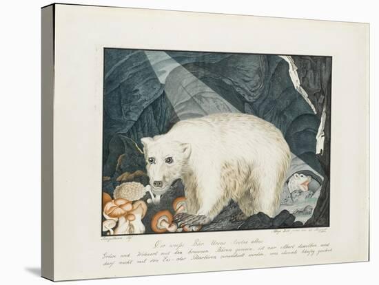 The White Bear, 1844-Aloys Zotl-Stretched Canvas