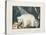 The White Bear, 1844-Aloys Zotl-Stretched Canvas