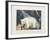 The White Bear, 1844-Aloys Zotl-Framed Giclee Print