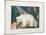 The White Bear, 1844-Aloys Zotl-Mounted Giclee Print