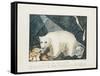 The White Bear, 1844-Aloys Zotl-Framed Stretched Canvas