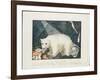 The White Bear, 1844-Aloys Zotl-Framed Giclee Print