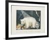 The White Bear, 1844-Aloys Zotl-Framed Giclee Print