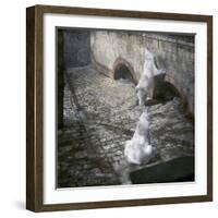 The White Bears in the Jardin Des Plantes, Paris, Circa 1895-1900-Leon, Levy et Fils-Framed Photographic Print