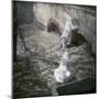 The White Bears in the Jardin Des Plantes, Paris, Circa 1895-1900-Leon, Levy et Fils-Mounted Photographic Print