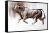 The White Bull, 2022, (charcoal and pastel on paper)-Mark Adlington-Framed Stretched Canvas