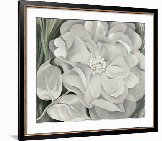 The White Calico Flower, c.1931-Georgia O'Keeffe-Framed Art Print