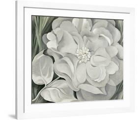 The White Calico Flower, c.1931-Georgia O'Keeffe-Framed Art Print