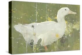 The White Drake-Joseph Crawhall-Stretched Canvas