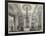 The White Drawingroom, Windsor Castle-null-Framed Giclee Print