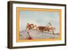 The White-Faced Decticus-Edward Detmold-Framed Premium Giclee Print