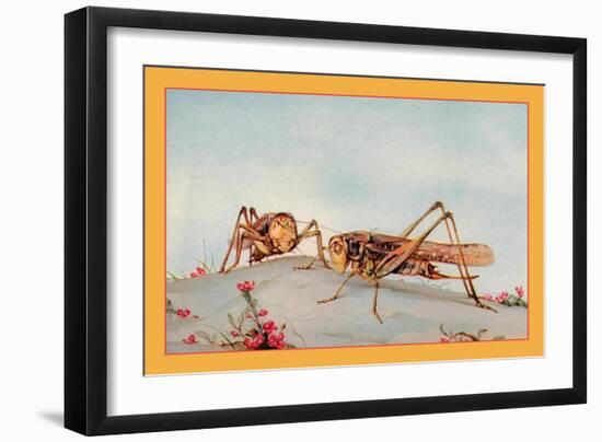 The White-Faced Decticus-Edward Detmold-Framed Premium Giclee Print