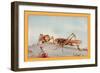 The White-Faced Decticus-Edward Detmold-Framed Art Print