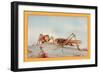 The White-Faced Decticus-Edward Detmold-Framed Art Print