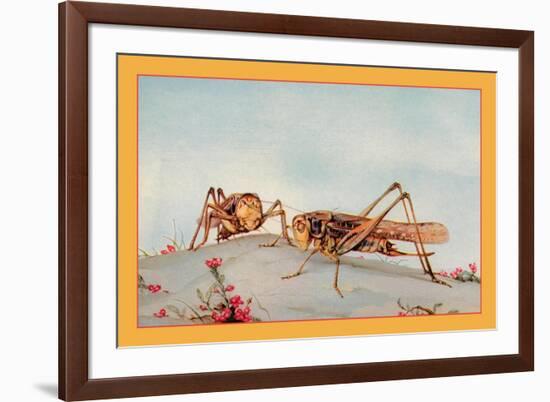 The White-Faced Decticus-Edward Detmold-Framed Art Print