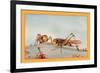 The White-Faced Decticus-Edward Detmold-Framed Art Print