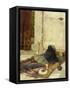 The White Feather Fan, 1879-John William Waterhouse-Framed Stretched Canvas