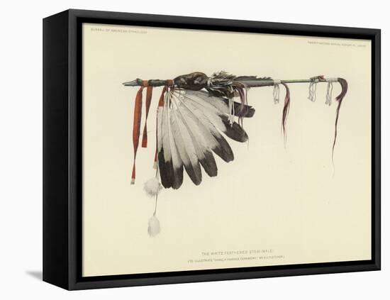 The White Feathered Stem-null-Framed Stretched Canvas