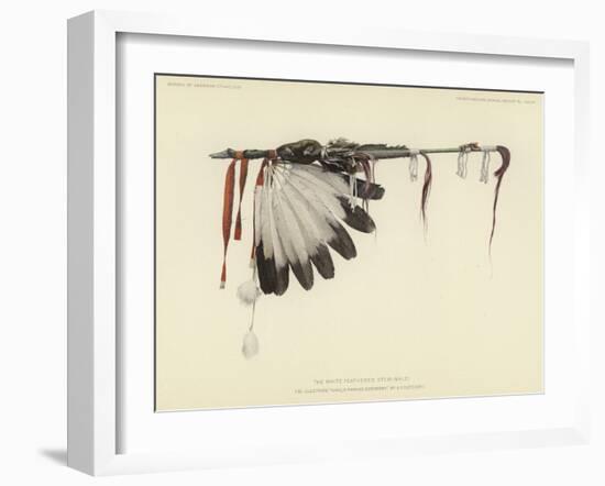 The White Feathered Stem-null-Framed Giclee Print