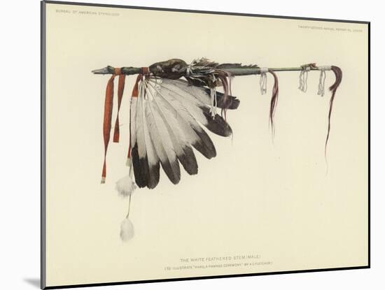 The White Feathered Stem-null-Mounted Giclee Print