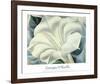 The White Flower (White Trumpet Flower), 1932-Georgia O'Keeffe-Framed Art Print