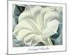 The White Flower (White Trumpet Flower), 1932-Georgia O'Keeffe-Mounted Art Print