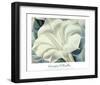 The White Flower (White Trumpet Flower), 1932-Georgia O'Keeffe-Framed Art Print