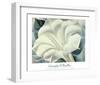 The White Flower (White Trumpet Flower), 1932-Georgia O'Keeffe-Framed Art Print