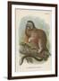 The White-Footed Marmoset-null-Framed Giclee Print