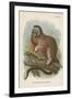 The White-Footed Marmoset-null-Framed Giclee Print