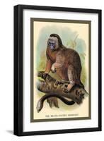 The White-Footed Marmoset-Sir William Jardine-Framed Art Print