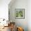 The White Garden, Sissinghurst-John Erskine-Framed Giclee Print displayed on a wall