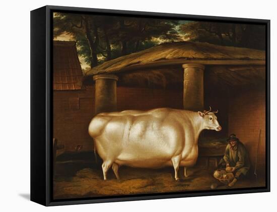 The White Heifer That Travelled, with a Man Slicing Turnips in a Stable Yard, 1811-Thomas Weaver-Framed Stretched Canvas