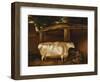 The White Heifer That Travelled, with a Man Slicing Turnips in a Stable Yard, 1811-Thomas Weaver-Framed Giclee Print