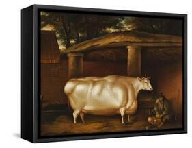 The White Heifer That Travelled, with a Man Slicing Turnips in a Stable Yard, 1811-Thomas Weaver-Framed Stretched Canvas