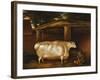 The White Heifer That Travelled, with a Man Slicing Turnips in a Stable Yard, 1811-Thomas Weaver-Framed Giclee Print