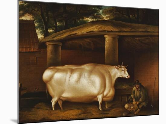 The White Heifer That Travelled, with a Man Slicing Turnips in a Stable Yard, 1811-Thomas Weaver-Mounted Giclee Print