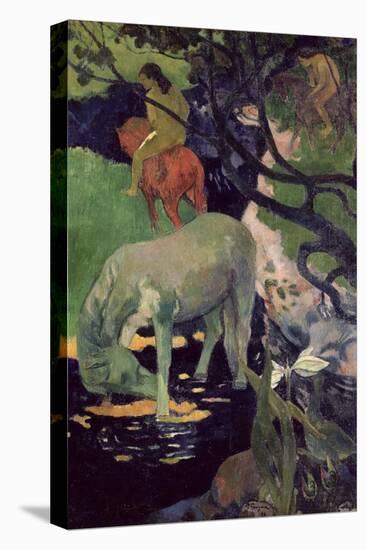 The White Horse, 1898-Paul Gauguin-Stretched Canvas