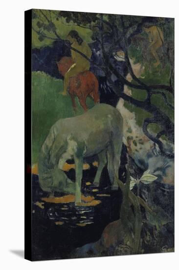 The White Horse, c.1893-Paul Gauguin-Stretched Canvas