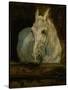 The White Horse "Gazelle"-Henri de Toulouse-Lautrec-Stretched Canvas